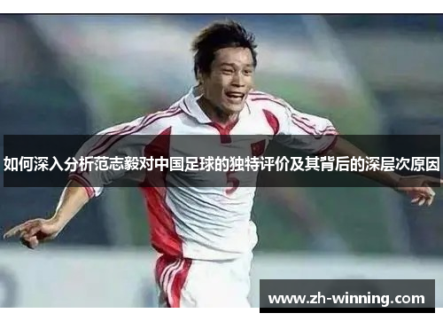 如何深入分析范志毅对中国足球的独特评价及其背后的深层次原因