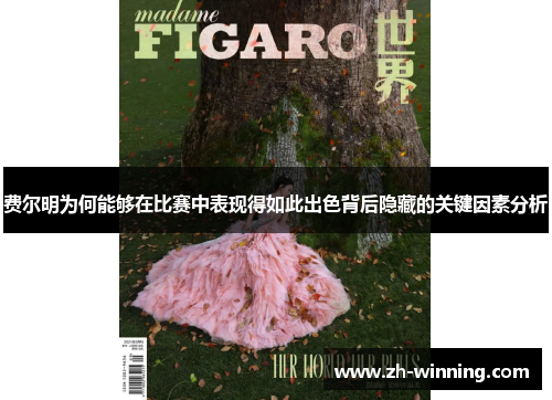 费尔明为何能够在比赛中表现得如此出色背后隐藏的关键因素分析