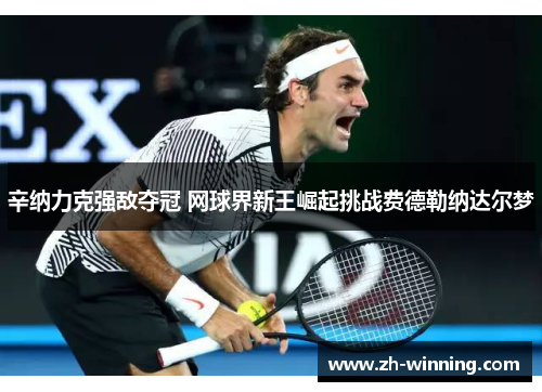 辛纳力克强敌夺冠 网球界新王崛起挑战费德勒纳达尔梦