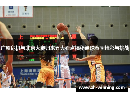 广厦危机与北京大腿归来五大看点揭秘篮球赛季精彩与挑战