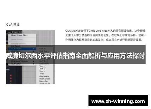 威廉切尔西水平评估指南全面解析与应用方法探讨